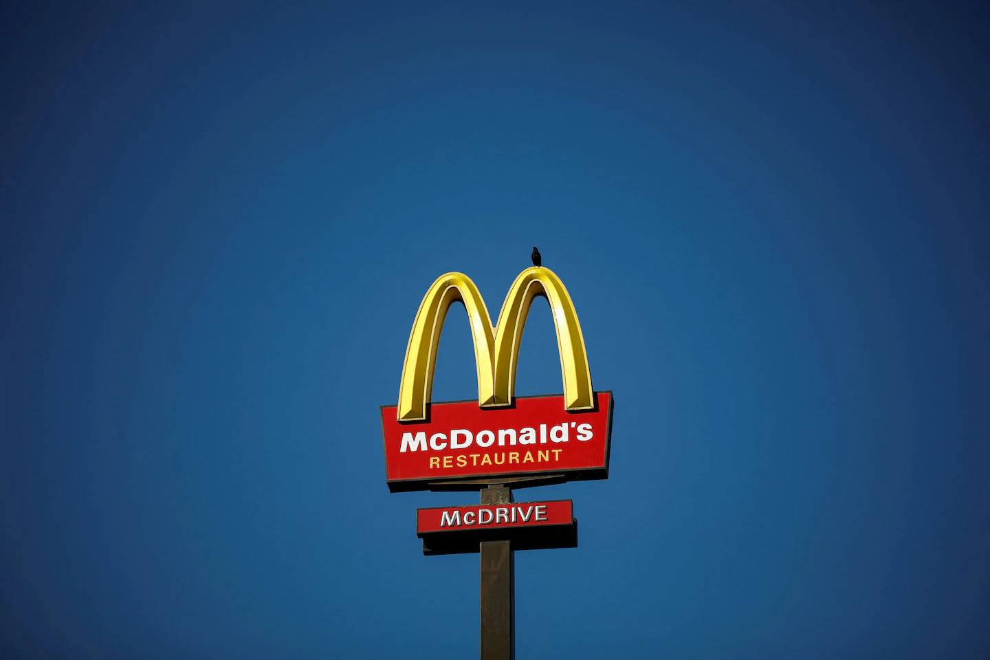 Carl Icahn starts a proxy fight with McDonald’s over the welfare of pigs
