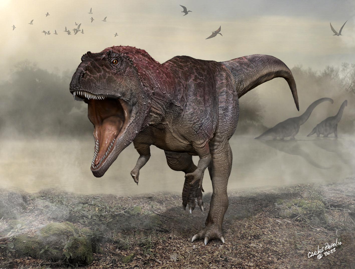 Discover a new giant carnivorous dinosaur with tiny arms like T. rex